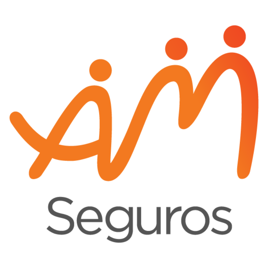 AM SEGUROS LTDA