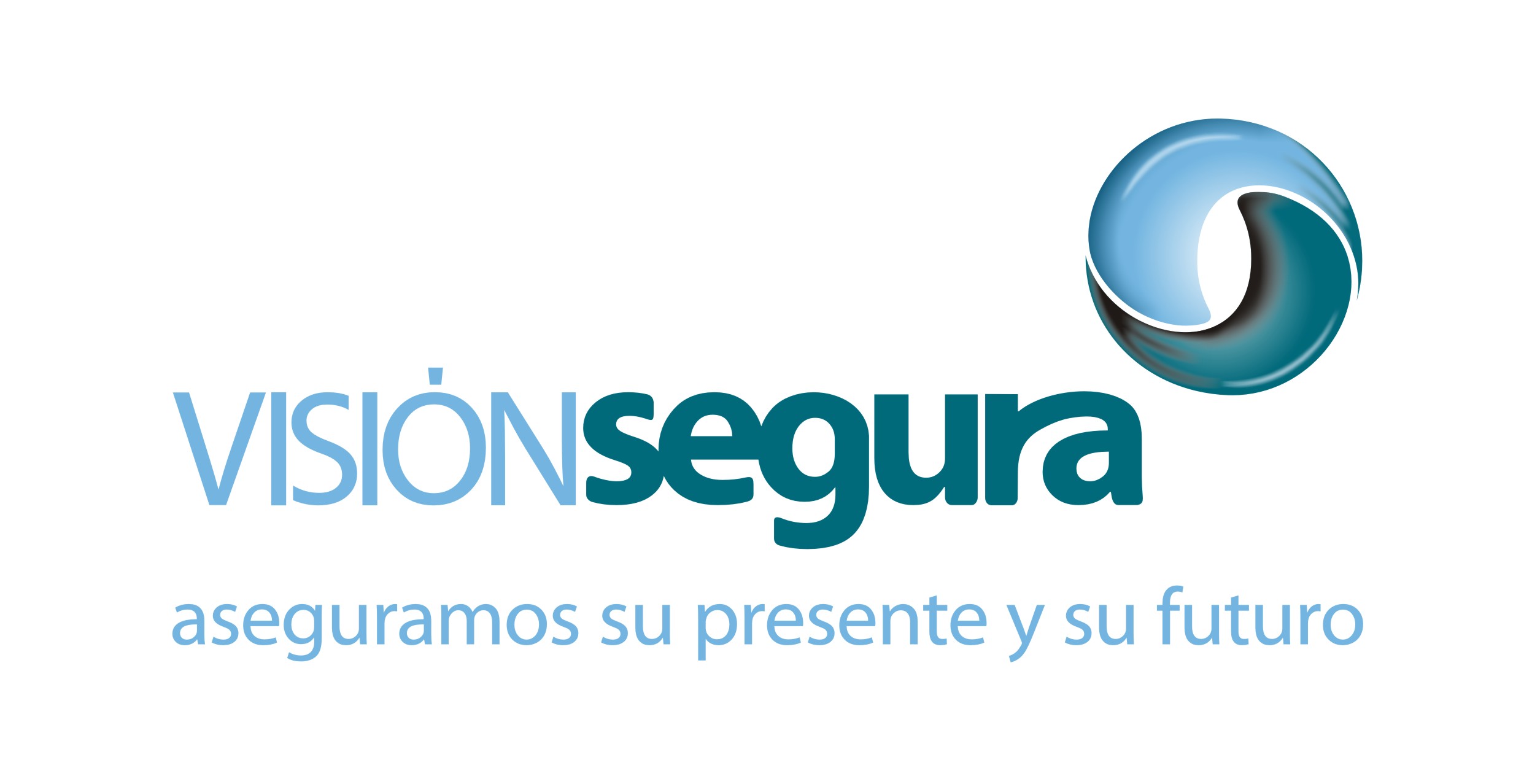 VISIÓN SEGURA Y CIA LTDA